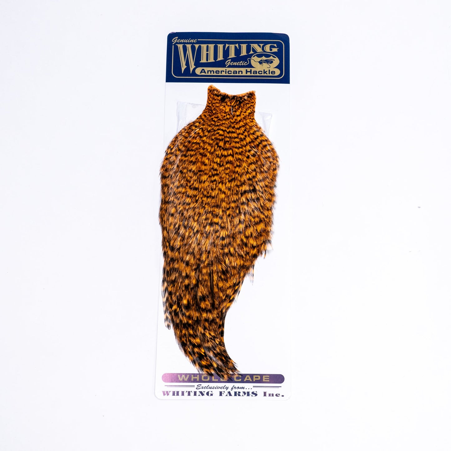 Whiting American Rooster Cape
